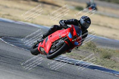 media/Oct-29-2023-Carters at The Track (Sun) [[b2bb4383ab]]/B Plus/1020am (Sunrise)/